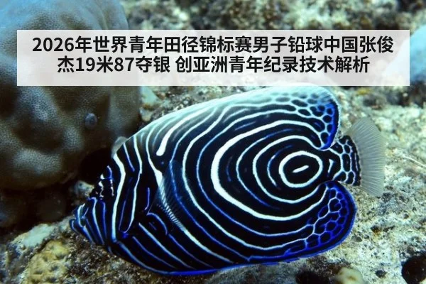 2026年世界青年田径锦标赛男子铅球中国张俊杰19米87夺银 创亚洲青年纪录技术解析